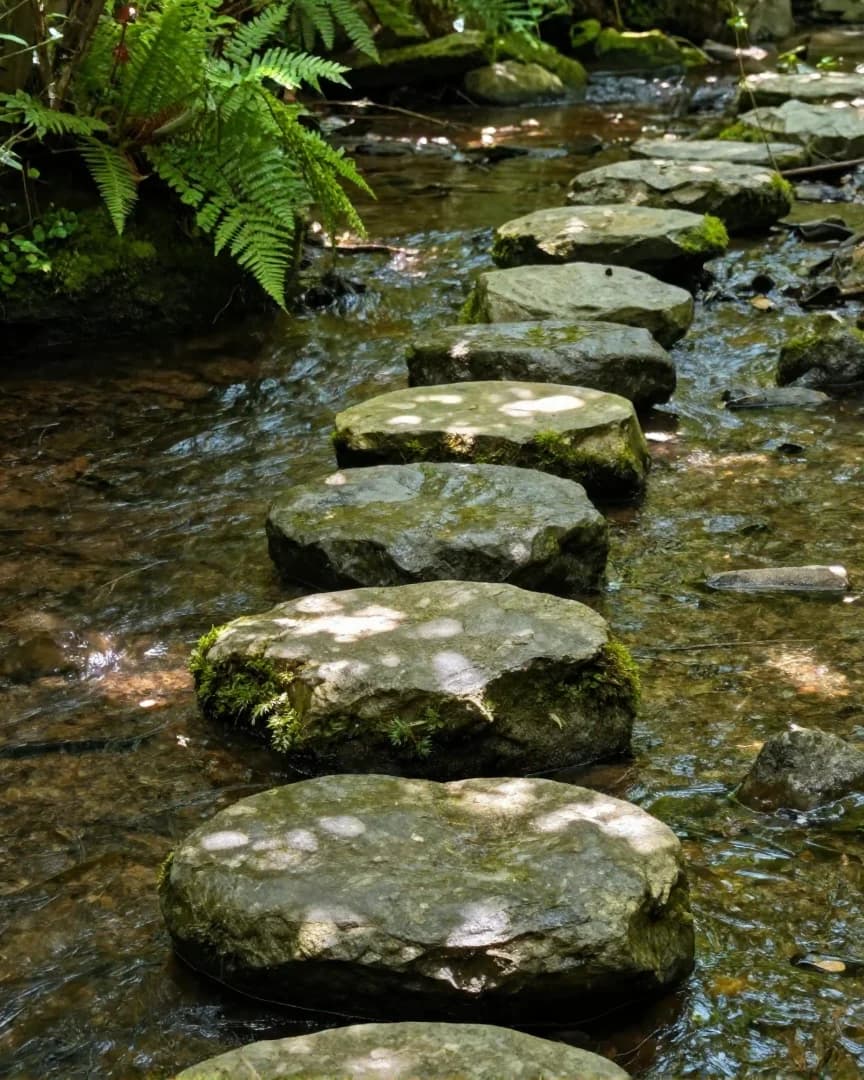 Trittsteine über einen flachen, klaren Waldbach.